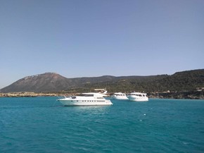 Paphos Harbour