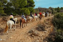 Troodos Mountains