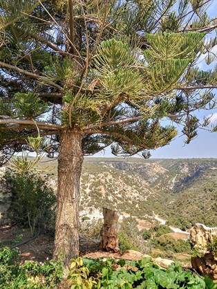 Troodos Mountains